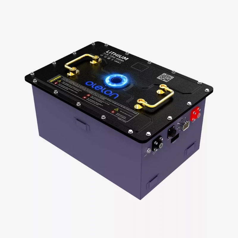 Baterie cu litiu pentru cărucior de golf LiFePO4 51,2 V (48 V) 125 Ah